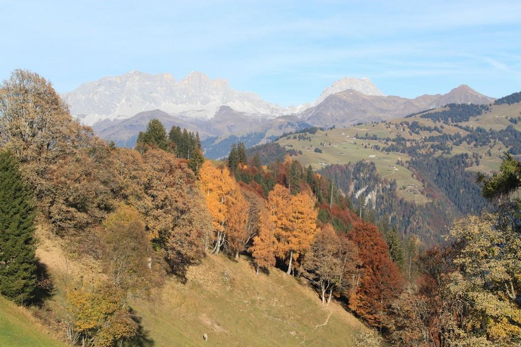 Landgasthof Sommerfeld Pragg-Jenaz Екстер'єр фото